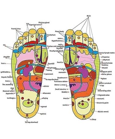 RSGM Spring Acupressure Sandals - Magnetic Therapy for Yoga & Foot Relaxation - Buy Online on GoSupps.com