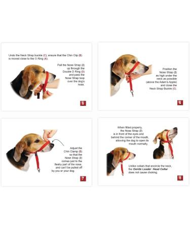 PABA Gentle Leader Ultimate Head Collar with Soft Touch Webbing Beige 28-59kg (Large) - Buy Online on GoSupps.com