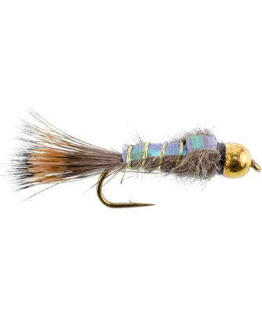 Fishing Place Tungsten Bead Head Nymph Flies - Gold Ribbed Hare's Ear Trout Fly - Size 10 Hook - 6 Pack - Buy Online on GoSupps.com