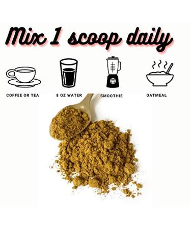 Let's Go Chia Anti-Inflammatory Superfood Powder - Gut and Joint Health, Sustained Energy - Chia Seed, Turmeric, Monk Fruit - 27 Servings - Buy Online on GoSupps.com