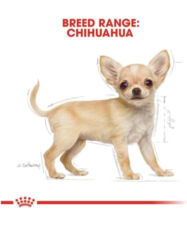 Royal Canin Chihuahua Puppy | Pack of 3 | 3 x 500 g | Complete food specially designed for Chihuahua puppies | Up to 8 months | May help reduce stool odors - Buy Online on GoSupps.com