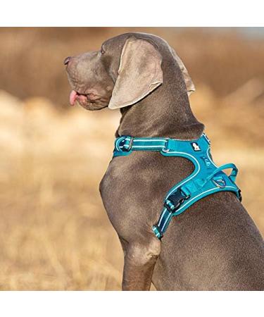 Truelove No Pull Dog Harness - Reflective Adjustable Soft Padded Vest with Handle TLH56512 m Blue | International Shipping Available - Buy Online on GoSupps.com