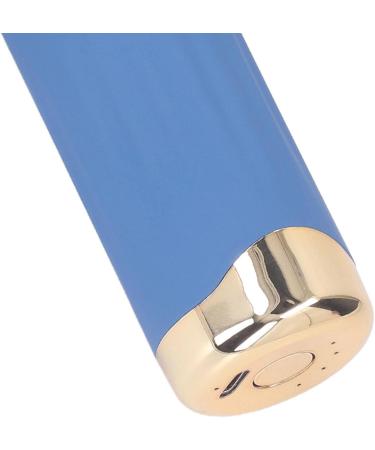 Hair Dryer Mini Dust Blower 1100 MAh Battery Portable Outdoor for Cats and Dogs for Home (Blue) - Buy Online on GoSupps.com