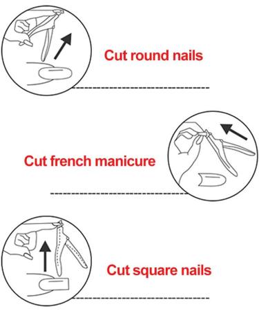 Nail Tips Nail Tips Set Full Cover Nail Tips False Nail Acrylic Artificial Nail Tips with Storage Box Suitable for Nail Studio and DIY Nail Art at Home 240 Pieces Includes Scissors/Scraper - Buy Online on GoSupps.com