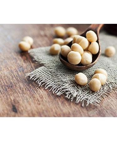 Buy Raw Macadamia Nuts - 5 Pound Bulk Pack | Premium Quality - Buy Online on GoSupps.com