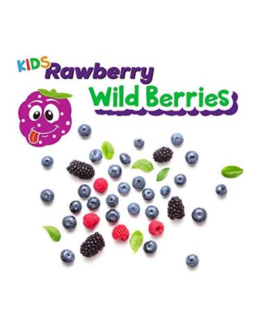 RAWBERRY Wild Berries Nut Bar | No Added Sugar Gluten-Free Vegan Snack (15 x 24g) - Healthy International Shipping - Buy Online on GoSupps.com