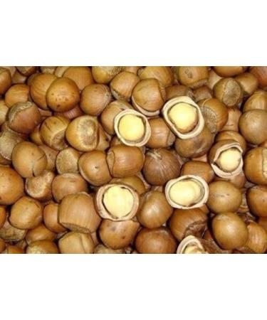 2 Pound (908 grams) Stir-fried hazelnut Grade A from Northeast China.