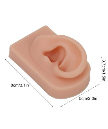 Reusable Human Ear Model - Dark Skin Color for Acupuncture & Headphone Display - Buy Online on GoSupps.com