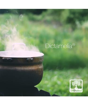 Natural Hair Elixir 150ML | Nourish & Revitalize Hair | Free International Shipping - Buy Online on GoSupps.com