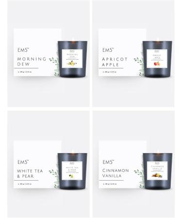 Buy SN Set of 4 Non-Toxic Scented Candles for Home & Aromatherapy - 60 Gm Each Up to 20 Hours Burn Time Smoke Free - International Shipping Available - Buy Online on GoSupps.com