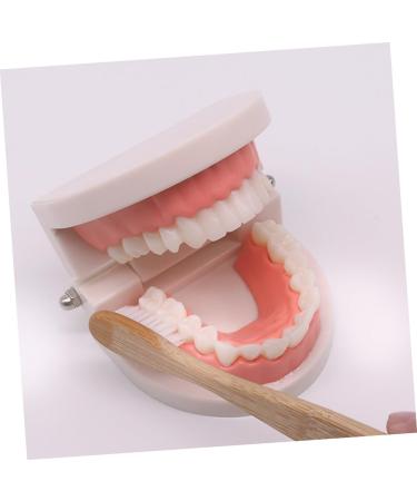 FRCOLOR 3 Sets Wooden Dental Education Toys - Early Teaching Aids for Kids | Reusable & Eco-Friendly - Buy Online on GoSupps.com