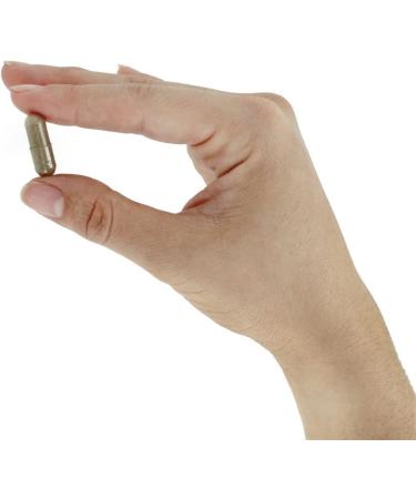 Christopher's Original Formulas Complete Tissue & Bone 440 mg - 100 Vegetarian Capsules for Optimal Joint Health - Buy Online on GoSupps.com