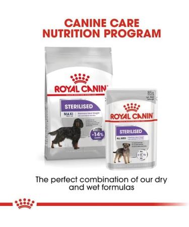 ROYAL Canine Adult STERILISED Maxi 12KG - Buy Online on GoSupps.com