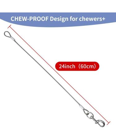 Mi Metty Chew Proof Dog Leash Extension Rope - 24 inch/60cm - Non-Tangle Training Leash - Orange+Purple - Buy Online on GoSupps.com