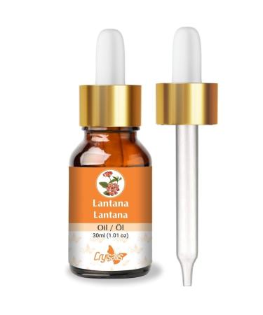 CRYSALIS Crysalis Lantana (Lantana camara) Oil - 30 ml