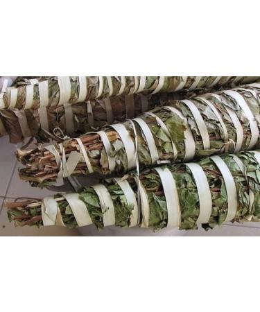Kinkeliba leaves 100 g feulle de kink liba Deggeh seh haw sehhaw feiba kenkeliba djeka qinkeliba natural and wild - Buy Online on GoSupps.com
