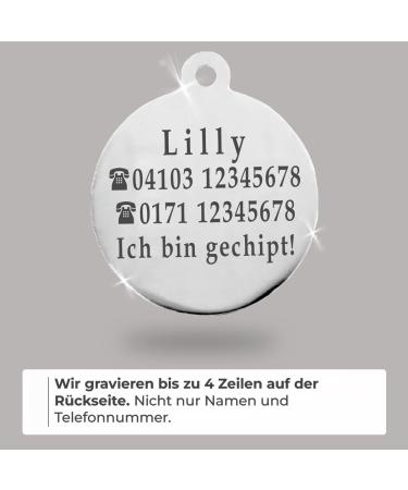 Personalized Cat Collar for Medium to Large Cats - Ibera Gifts Engraved Name & Address - Round Shape Cat Necklace (Black) - Buy Online on GoSupps.com