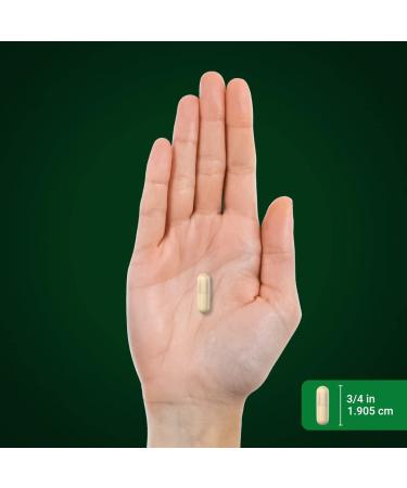 Piping Rock Cissus Quadrangularis Supplement 1800mg | 200 Capsules | Ultra Concentrated Herbal Extract | Non-GMO Gluten Free - Buy Online on GoSupps.com