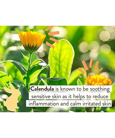 Babo Botanicals Fragrance-Free 3-in-1 Baby Wash & Shampoo 15 fl. oz. - Vegan, Organic Shea Butter, Coconut Oil, Calendula & Oat - EWG Verified - Buy Online on GoSupps.com