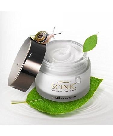 Scinic Snail Matrix Cream 50ml Deep Moisturizing Skin Softening