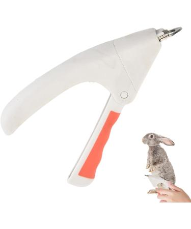 Cat Nail Clippers Stainless Steel Pet Nail Clipper Professional Cat Nail Clippers and Dog Nail Clippers | Cat Nail Clippers Grooming Tool for White - Buy Online on GoSupps.com