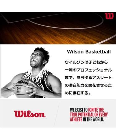 Wilson NBA Authentic Size 7 Basketball - 29.5 Indoor Game Ball | Shop Worldwide - Buy Online on GoSupps.com