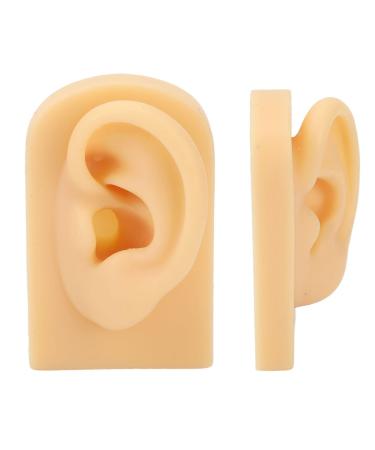 Silicone Artificial Ear Model Simulation of Silicone Ear Model for Practicing Sutures (Left)