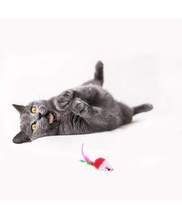 Falllea 20-Piece Cat Toy Set - Fun Rattling Mice with Feather Tails for Cats | Perfect for Playtime & Exercise - Buy Online on GoSupps.com