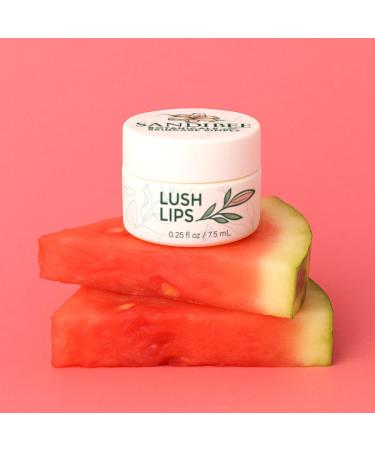 SandiBee Botanicals Lush Lips Vegan Lip Treatment Balm Hydrating Daily Moisturizer 0.25 fl oz Clean Formula - Buy Online on GoSupps.com