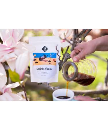 Spring Bloom Filter 1 kg whole beans fair and sustainable freshly roasted 100 Arabica coffee beans specialty coffee 19 grams of coffee - Buy Online on GoSupps.com