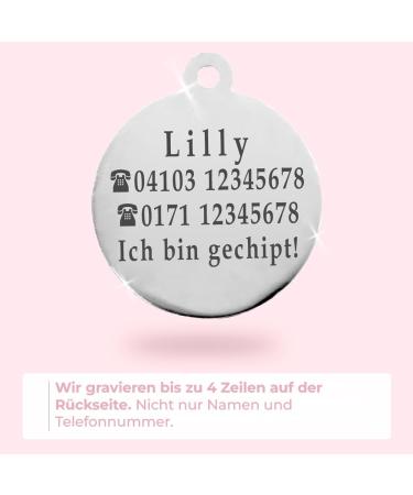 Ibera Gifts - Personalized Round Cat Necklace for Medium to Large Cats | Engraved Name & Address Collar | Fuchsia Glitter - Buy Online on GoSupps.com