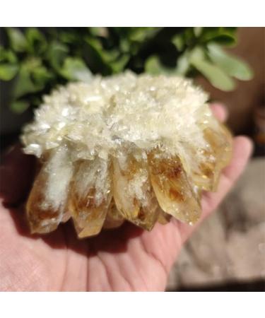 Natural Crystal Rough Natural Raw Citrine Quartz Stone Crystal Cluster Yellow Stones Specimen Home Decoration (Size : 400-500g) - Buy Online on GoSupps.com