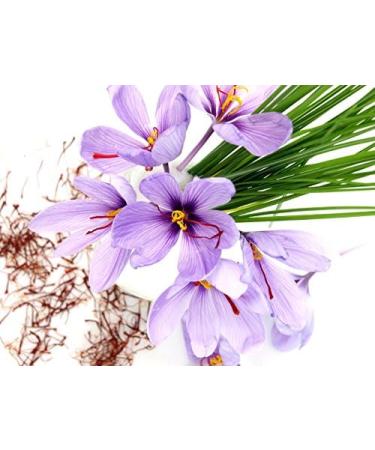 Pure organic saffron is a 100% natural and certified organic food supplement - Buy Online on GoSupps.com
