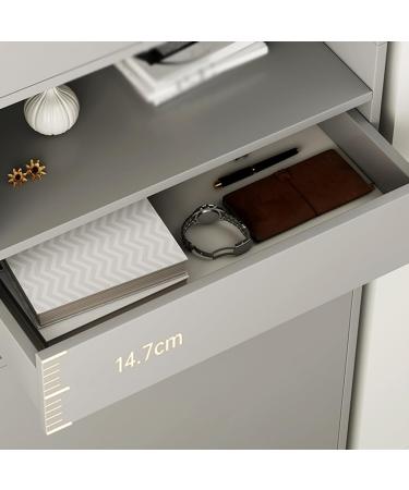 Entrance Shoe Cabinet Shoe Cabinet Home Porch Simple Locker Indoor Living Room Corridor Storage Cabinet Large Capacity Porch Cabinet Freestanding Shoe Rack (Color : B) (A) - Buy Online on GoSupps.com