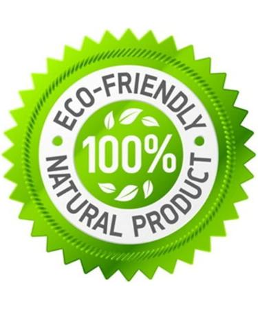 ARTISAN GIFT CO Olive Wood Chew Toy for Dogs - 100% Natural XL (24 cm) - Value Pack of 2 for Dogs Over 40kg - Buy Online on GoSupps.com