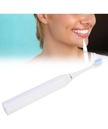 Buy Electric Waterproof Toothbrush | Leaning Tower of Pisa Design | Ideal for Home Use - Buy Online on GoSupps.com
