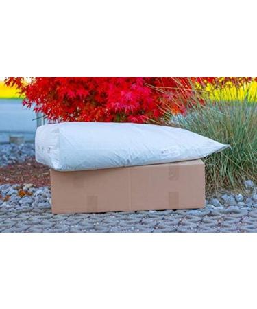 Buy Boiled Sunflower Seeds 25kg - Premium Bird Feed Fresh Harvest 2021 Direct from Manufacturer - Buy Online on GoSupps.com