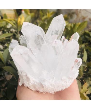 Home Decoration Natural Clear White Quartz Point Crystal Cluster Specimen Stones Home Goods (Size : 300-400g) - Buy Online on GoSupps.com