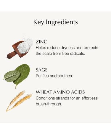 Zinc & Sage 2-in-1 Shampoo & Conditioner 473 mL for Dry Scalp - Buy Online on GoSupps.com