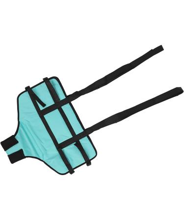 Patient Belts & Standing Aids | 4-Point Support Dirt-Repellent Toilet Solutions for Manual Lifting - Buy Online on GoSupps.com