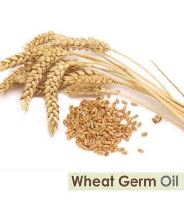 Salvia Wheat Germ Essential Oil 100% Pure & Natural - Undiluted Uncut Cold Pressed Aromatherapy Premium Oil - Therapeutic Grade - 15 ML Wheat Germ 15 ml (Pack of 1) - Buy Online on GoSupps.com