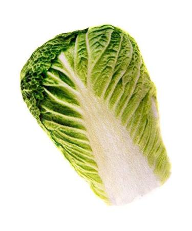 Silvervine Jumbo Chinese Cabbage Cuddle Toy