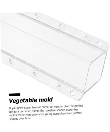 FUNOMOCYA 3pcs Cucumber Cucumbers Cucumber Kit Fruit Molds Vegetable Square - Buy Online on GoSupps.com