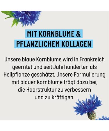 Guhl Long-term volume shampoo - Content: 250 ml - Volume and abundance for fine hair - Buy Online on GoSupps.com