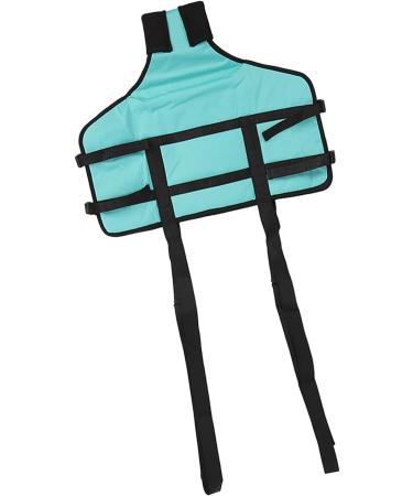 Patient Belts & Standing Aids | 4-Point Support Dirt-Repellent Toilet Solutions for Manual Lifting - Buy Online on GoSupps.com