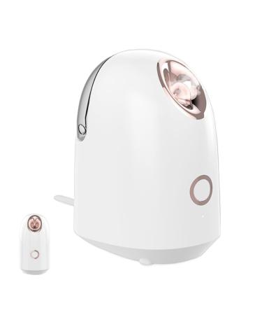 Vaporisateur Visage | Humidificateur Visage Portable - Vapeur Portable Visage Purifiant Pores Apaisant