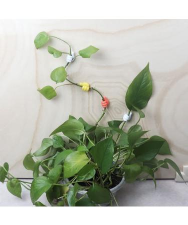 JCYUANI Thumb Hook: Versatile Hanger for Toothbrush Keys & Mobile Data Cables - Shop Internationally! - Buy Online on GoSupps.com