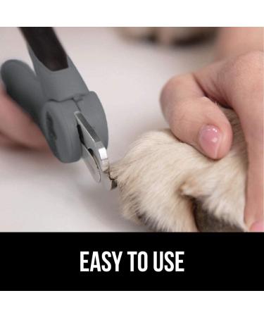Professional Pet Nail Clippers and File - Stainless Steel - Safety Guard - Comfort Handle - Dog and Cat Trimmer - Large Gray - Buy Online on GoSupps.com