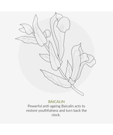 Green People For Men - No. 7 Antioxidant Repair Serum 50ml GP-M007 clear - Buy Online on GoSupps.com