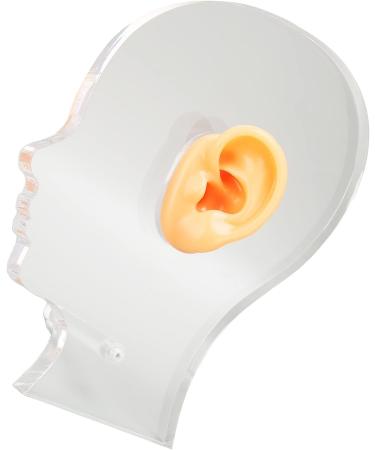 Silicone Waterproof Flexible Ear Display Model with Acrylic Stand for Hospitals - Ideal for Earrings - Buy Online on GoSupps.com